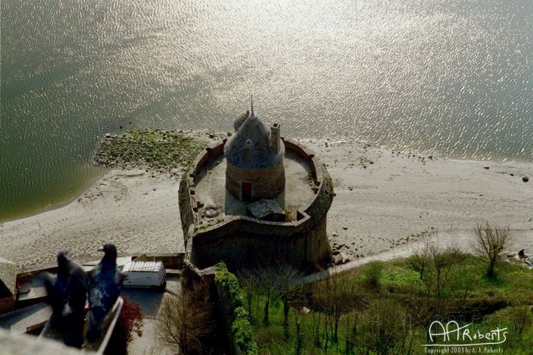 mont24.jpg - Pigeons with a view.