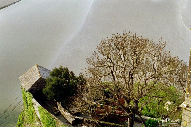 mont25.jpg - Another view from up top.
