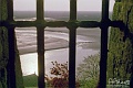 mont10