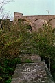 mont15