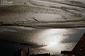 mont28