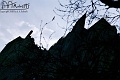 mont35