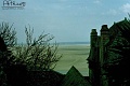mont39