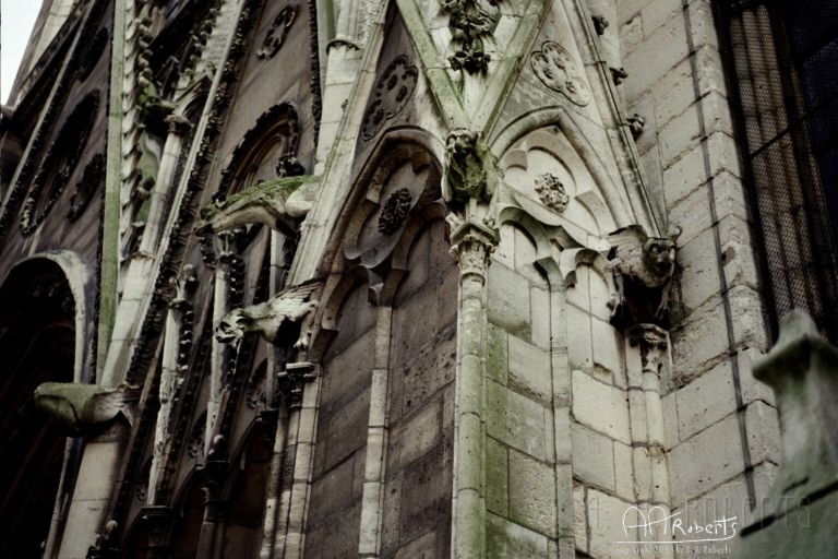notredame16.jpg - If you look realclose the gargoyle near the center is a dog.