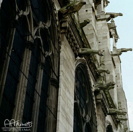 notredame8.jpg - Gargolyes!