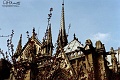 notredame10