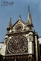notredame14