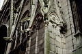 notredame16