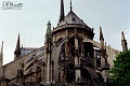 notredame17