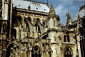notredame18