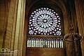 notredame5