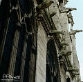 notredame8