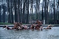 foutain2
