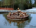 foutain4