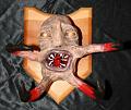 facehugger