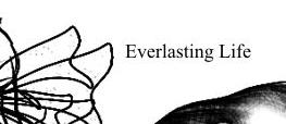 Everlasting Life