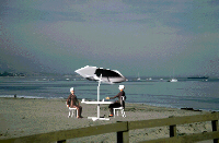 The Virtual Veranda